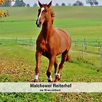 Wohlfuehlparadies Moritz, - Strandnah Am Plauer Mit Wlan Und Parkplatz بيت للعطل Stuer