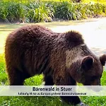 Wohlfuehlparadies Moritz, - Strandnah Am Plauer Mit Wlan Und Parkplatz Stuer