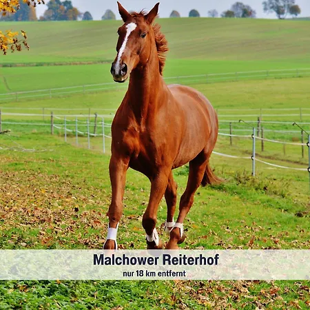 Wohlfuehlparadies Moritz, - Strandnah Am Plauer Mit Wlan Und Parkplatz Holiday home Stuer