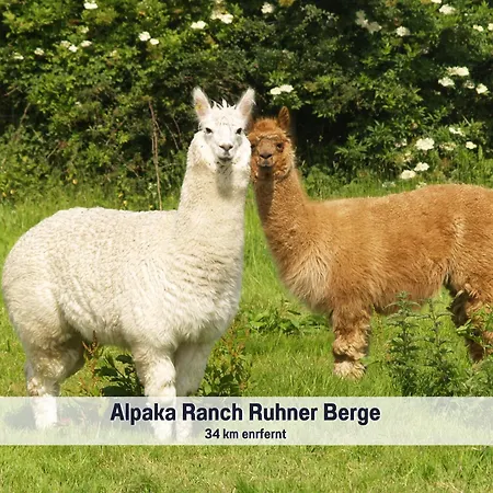 Wohlfuehlparadies Moritz, - Strandnah Am Plauer Mit Wlan Und Parkplatz