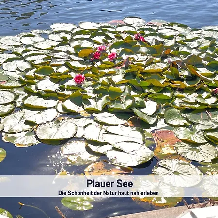 Wohlfuehlparadies Moritz, - Strandnah Am Plauer Mit Wlan Und Parkplatz Feriehus Stuer