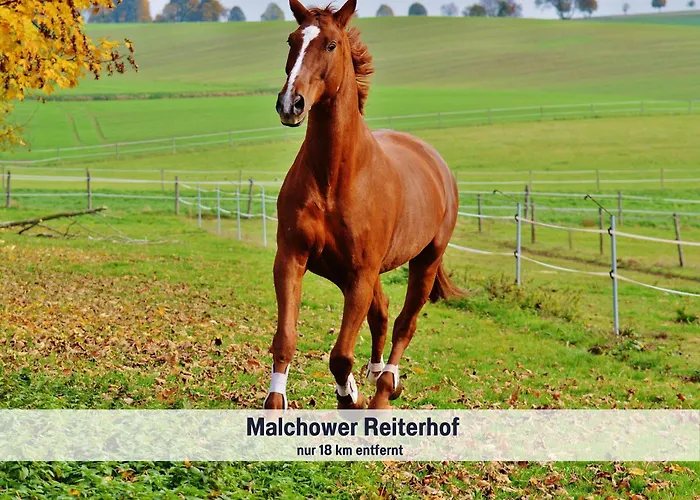 Wohlfuehlparadies Moritz, - Strandnah Am Plauer Mit Wlan Und Parkplatz بيت للعطل Stuer