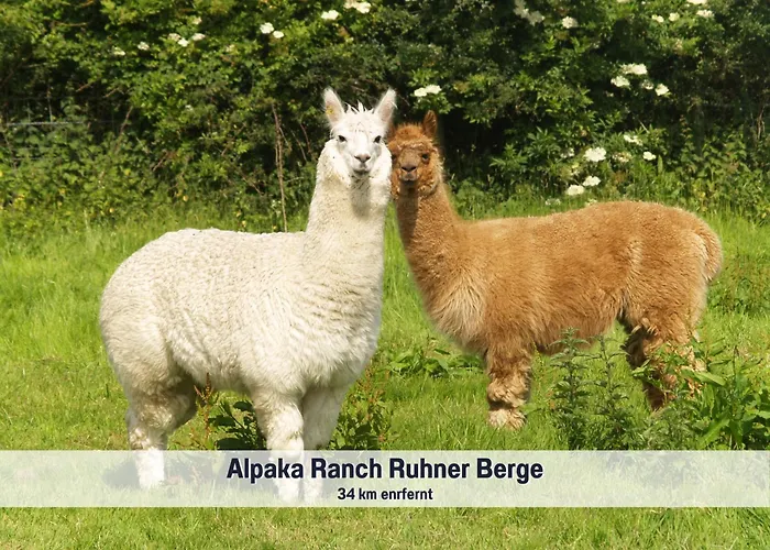 Wohlfuehlparadies Moritz, - Strandnah Am Plauer Mit Wlan Und Parkplatz