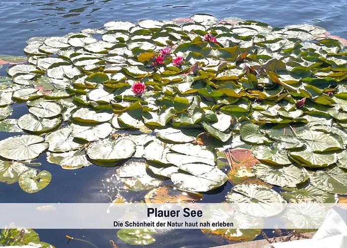 Wohlfuehlparadies Moritz, - Strandnah Am Plauer Mit Wlan Und Parkplatz 펜션 Stuer